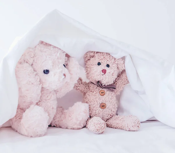 Birkaç oyuncak ayı en iyi arkadaşıyla saklambaç oynuyor. Sabahları iyi eğlenceler. 