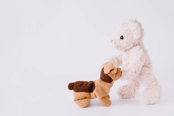 Paar Puppe Beziehung Welpe Und Teddybär Sind Beste Freund Verliebtes — Stockfoto