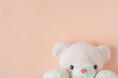 Pastel arka planda oyuncak ayı