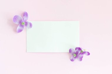 Pastel arkaplan üzerine beyaz kağıt kartın bir kopyası, pastel duvar kağıdı için yaratıcı tasarım.