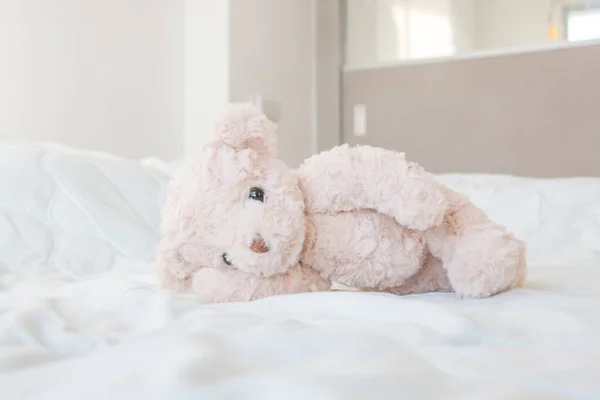 Şirin küçük oyuncak ayı yeşil bir battaniyenin üzerinde uyuyor, Doll dinleniyor.