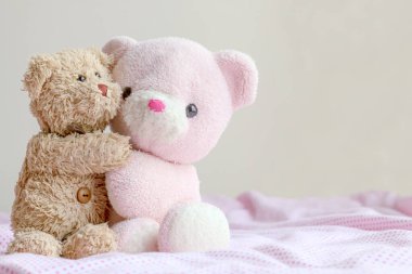 Sevgiyle kucaklaşan bir çift oyuncak ayı