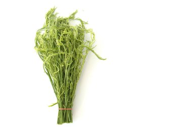 Akasya pennata, Cha-om beyaz arka planda.