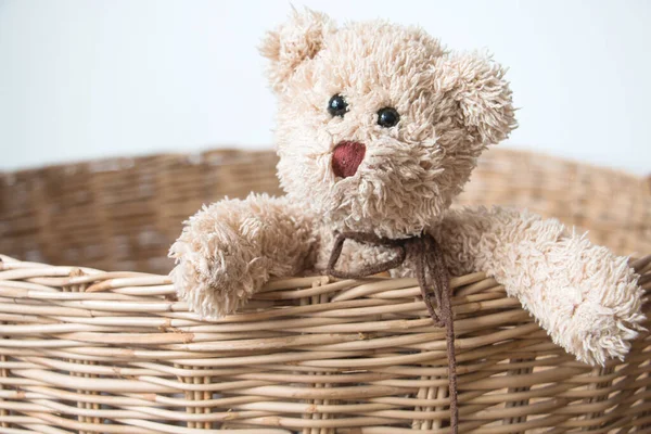 Teddybjörnen Korgen — Stockfoto