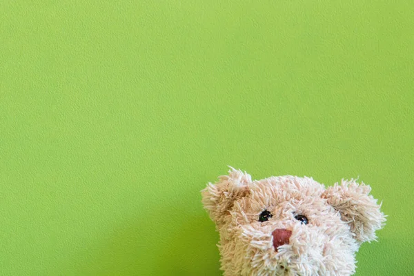 Teddy Urso Fundo Tecido Verde Tire Uma Foto Com Sorriso — Fotografia de Stock