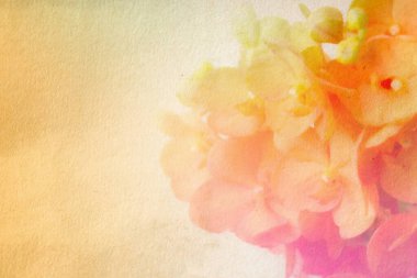 Tatlı ve pastel renkli çiçek, yumuşak ve bulanık odak fotoğrafı klasik tarzda, bulanık görüntü