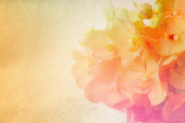 Süße Und Pastellfarbene Blume Weiche Und Verschwommene Fokusfotos Vintage Stil — Stockfoto