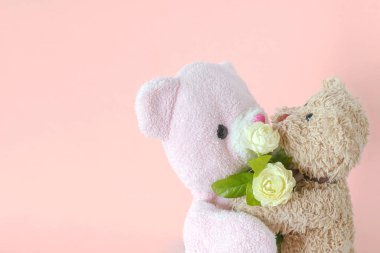 Oyuncak ayılar, peluş oyuncaklar.