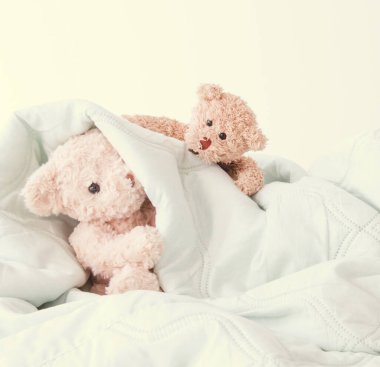 Oyuncak ayılar, peluş oyuncaklar.