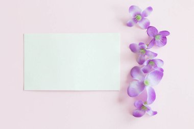 Küçük beyaz kağıt çarşaf ve pembe arka planda plastik mor çiçekler.