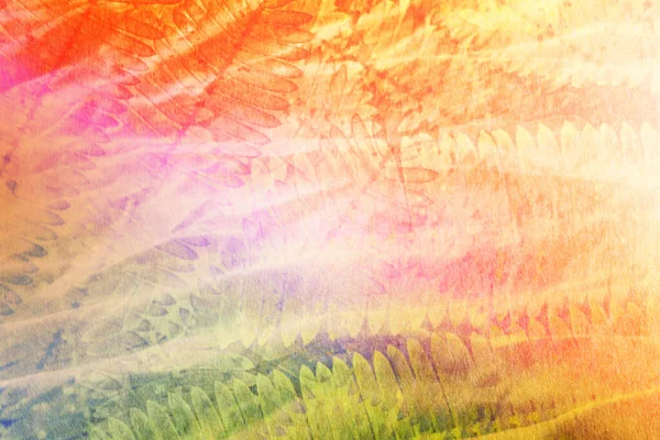 Tatlı ve pastel renkli yaprak, yumuşak ve bulanık odak fotoğrafı renkli, bulanık resim