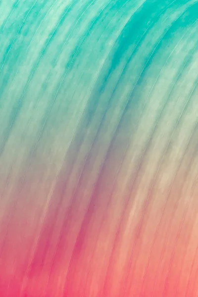 Абстрактные Красочные Обои Волновой Текстурой — стоковое фото