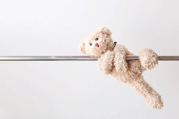 Oyuncak ayı, pelüş oyuncak atış