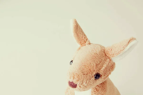 Miękkie Kangury Pluszowe Zabawki Strzał — Zdjęcie stockowe