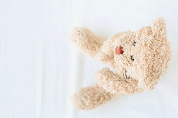 Close Shot Teddy Bear Toy — Stock Photo, Image