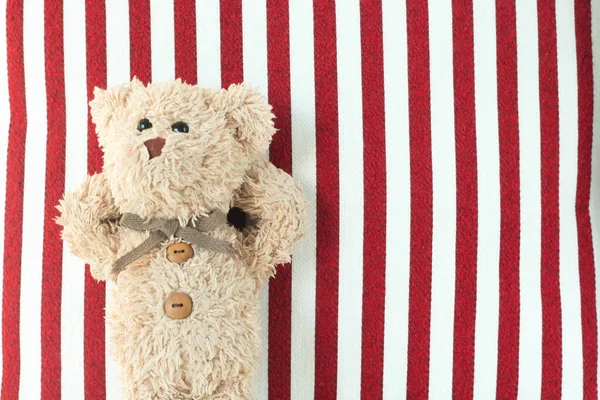 Teddy Bear Plush Toy Shot — Stock Photo, Image