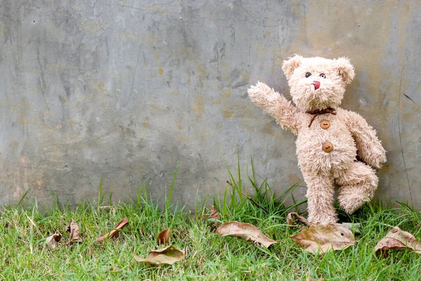Oyuncak ayı, pelüş oyuncak atış