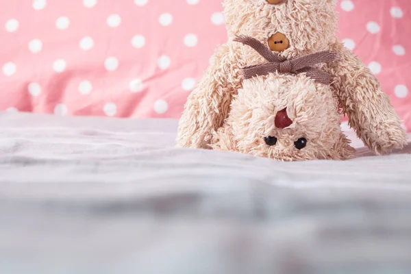 Teddybär Plüschtier Erschossen — Stockfoto