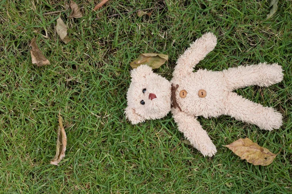 Teddybeer Pluche Speelgoedfoto — Stockfoto