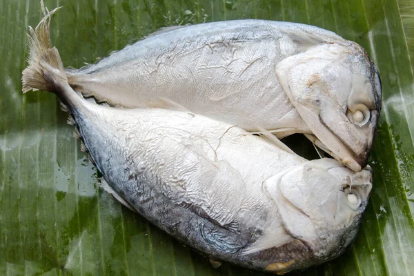 Две Сушеные Рыбы Зеленом Листе — стоковое фото