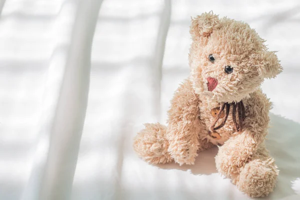 Teddy Bear Plush Toy Shot — Stock Photo, Image