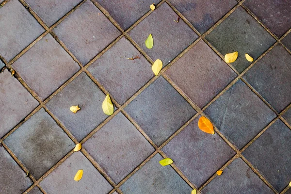 Опавшие Осенние Листья Плитке — стоковое фото
