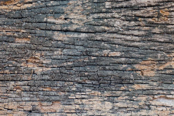 Texture Legno Rustico Sfondo Bianco — Foto Stock