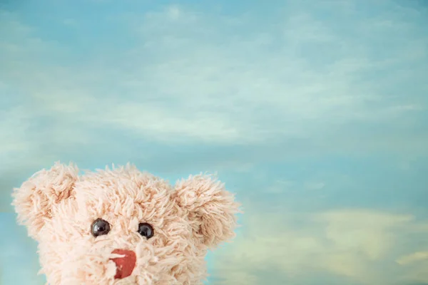 Teddy Bear Plush Toy Shot — Stock Photo, Image