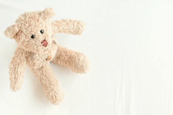 Teddy Bear Plush Toy Shot — Stock Photo, Image
