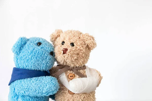 Two Teddy Bears Plush Toys Shot — Stok fotoğraf