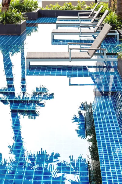 Mavi kiremitli havuz, bitkiler ve şezlonglar