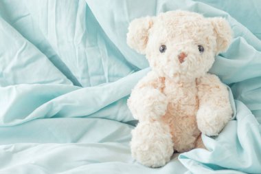 Yumuşak yastıklı oyuncak ayı