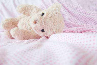 Yatağında pembe yastıklı oyuncak ayı