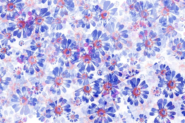 Nahtloses Muster Mit Blumen Aquarellillustration — Stockfoto