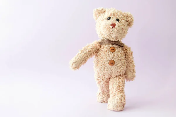 Іграшка Плюшевого Ведмедя Білому Тлі — стокове фото