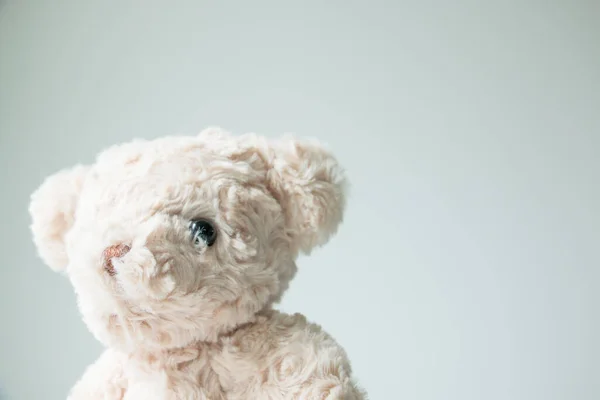 Teddybär Mit Weißem Hintergrund — Stockfoto