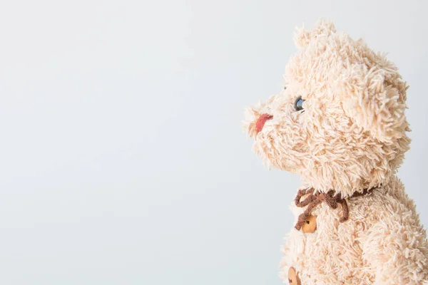 Teddy Bear White Background — Stock Photo, Image