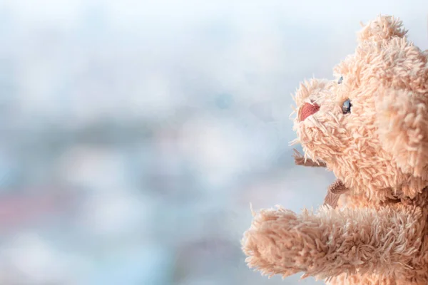 Ursinho Pelúcia Com Brinquedo Fundo Azul — Fotografia de Stock