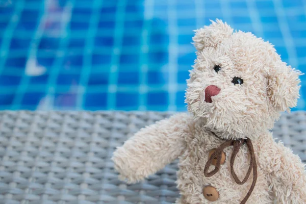 Teddy Bear Zittend Buurt Van Zwembad Concept Liefde — Stockfoto