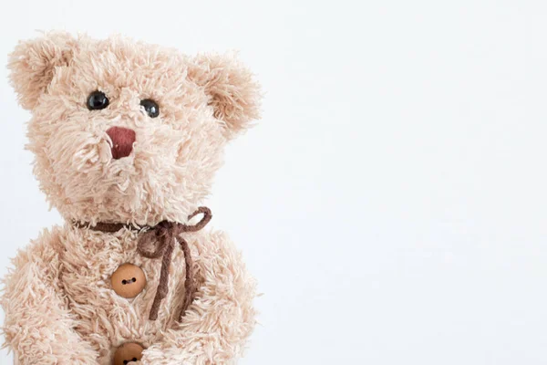 Ведмедик Тедді Білому Тлі — стокове фото