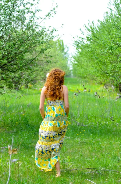 Όμορφη κοπέλα που περπατά μέσα στον οπωρώνα πράσινο μήλο, άνοιξη — Φωτογραφία Αρχείου