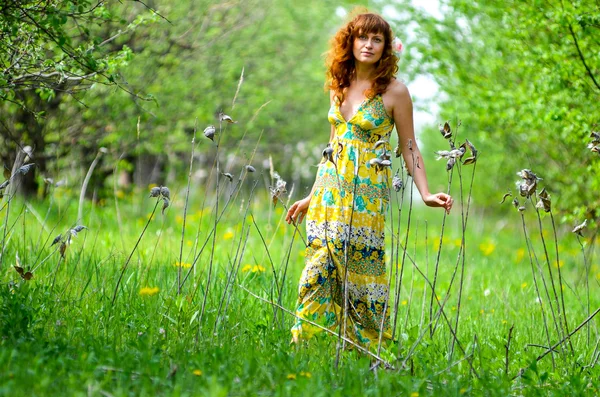 Jeune belle fille marche dans le verger de pommes vert printemps — Photo
