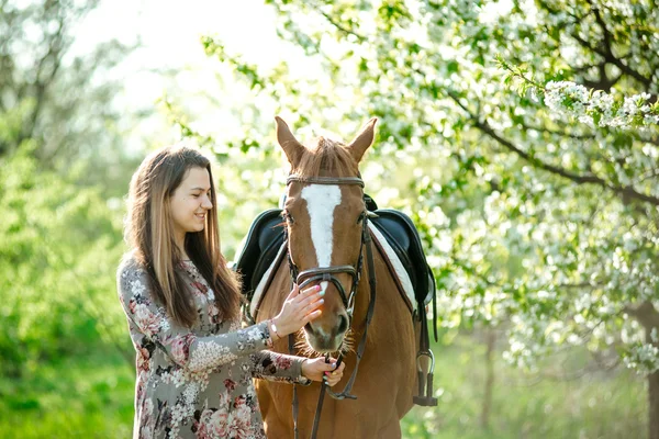 Девочка и лошадь — стоковое фото