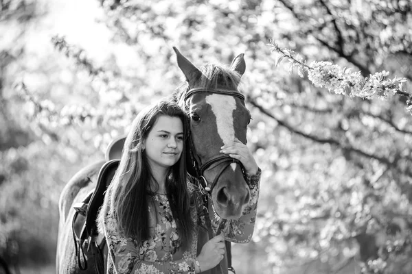 Menina e cavalo — Fotografia de Stock