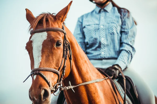 Chica montando un caballo — Foto de Stock