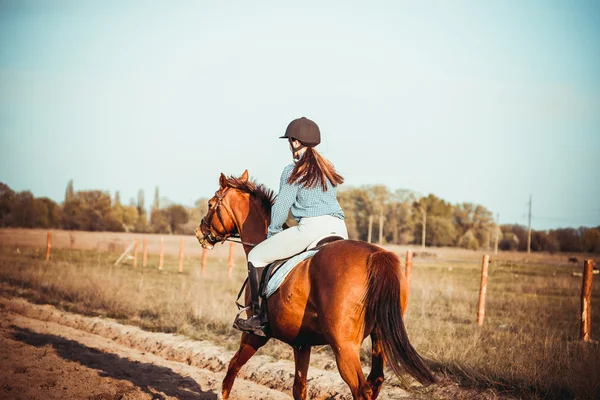 Chica montando un caballo —  Fotos de Stock