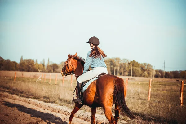 Dívka na koni — Stock fotografie