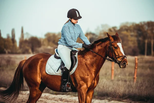 Flicka på en häst — Stockfoto