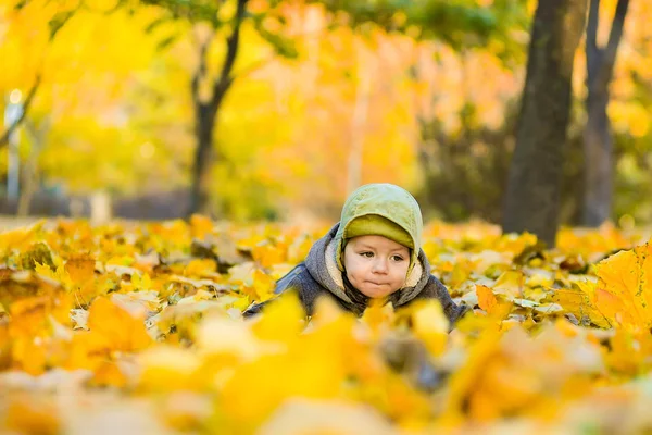 Criança coloca em folhas amarelas — Fotografia de Stock