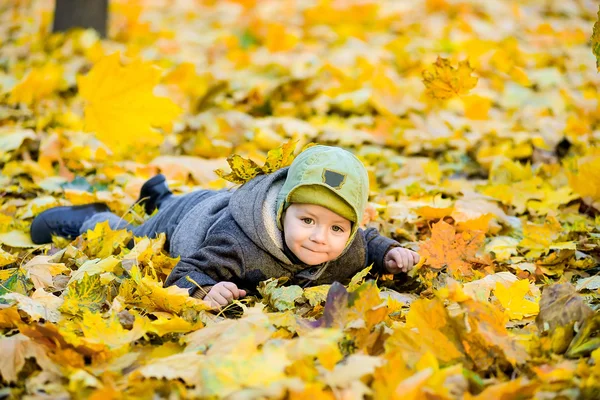 Çocuk sarı yapraklarda bırakır — Stok fotoğraf